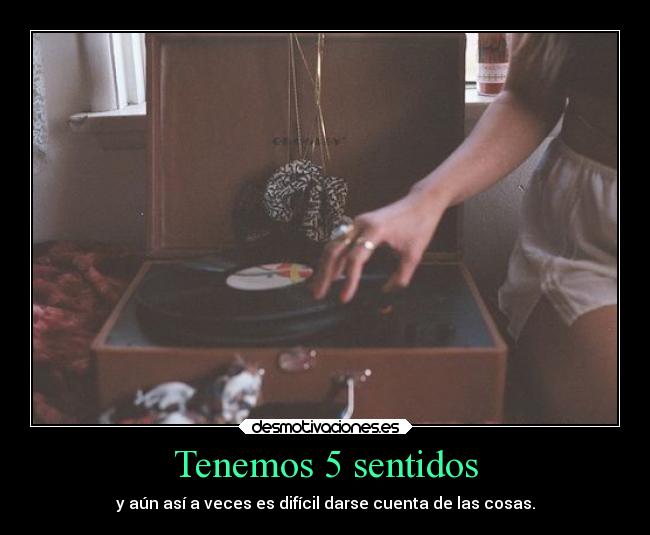 Tenemos 5 sentidos - 