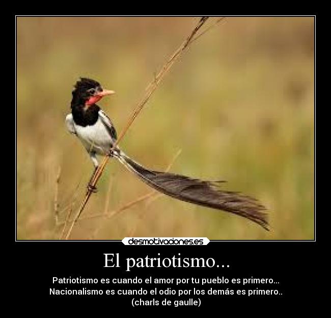 El patriotismo... - Patriotismo es cuando el amor por tu pueblo es primero...
Nacionalismo es cuando el odio por los demás es primero..
(charls de gaulle)
