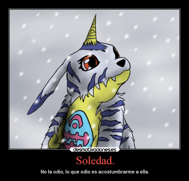 Soledad. - No la odio, lo que odio es acostumbrarme a ella.