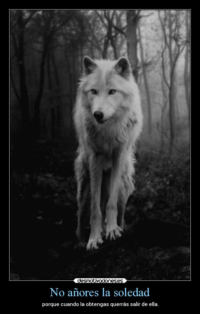 No añores la soledad -