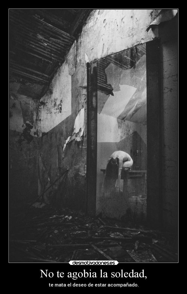 No te agobia la soledad, - 
