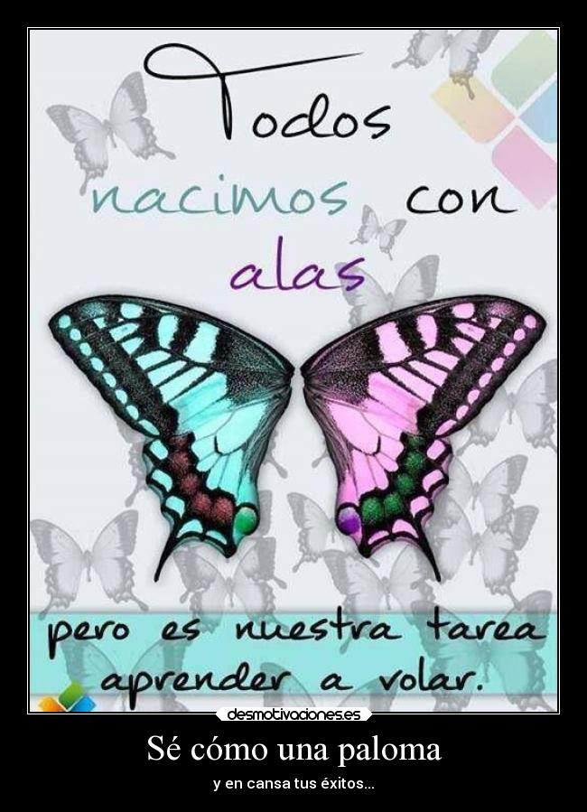 Sé cómo una paloma - y en cansa tus éxitos...