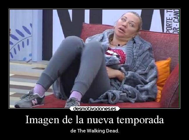 carteles tatuajes pokemon comida celos bogota animales desmotivaciones