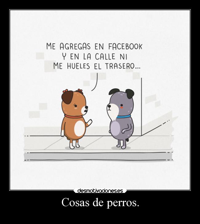 Cosas de perros. - 