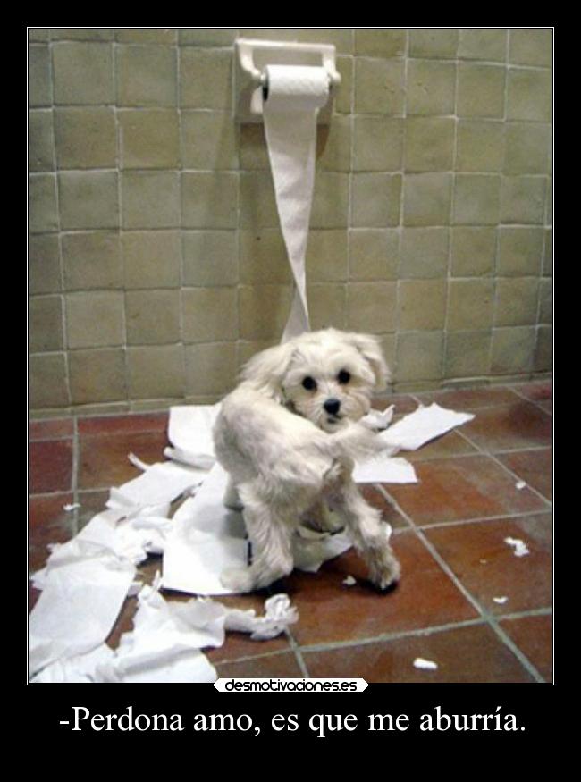 -Perdona amo, es que me aburría. - 