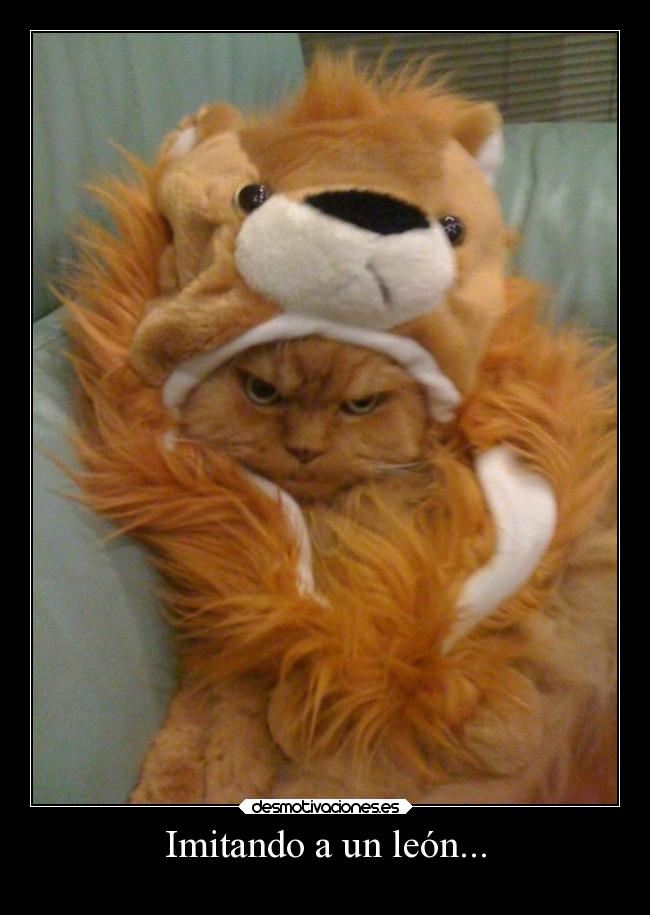 Imitando a un león... -