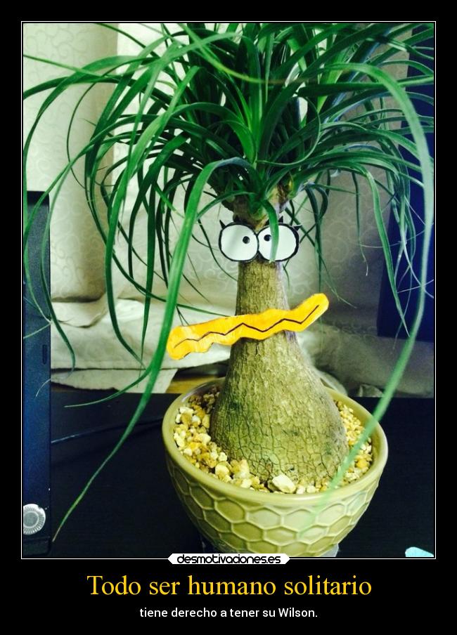 Todo ser humano solitario - 