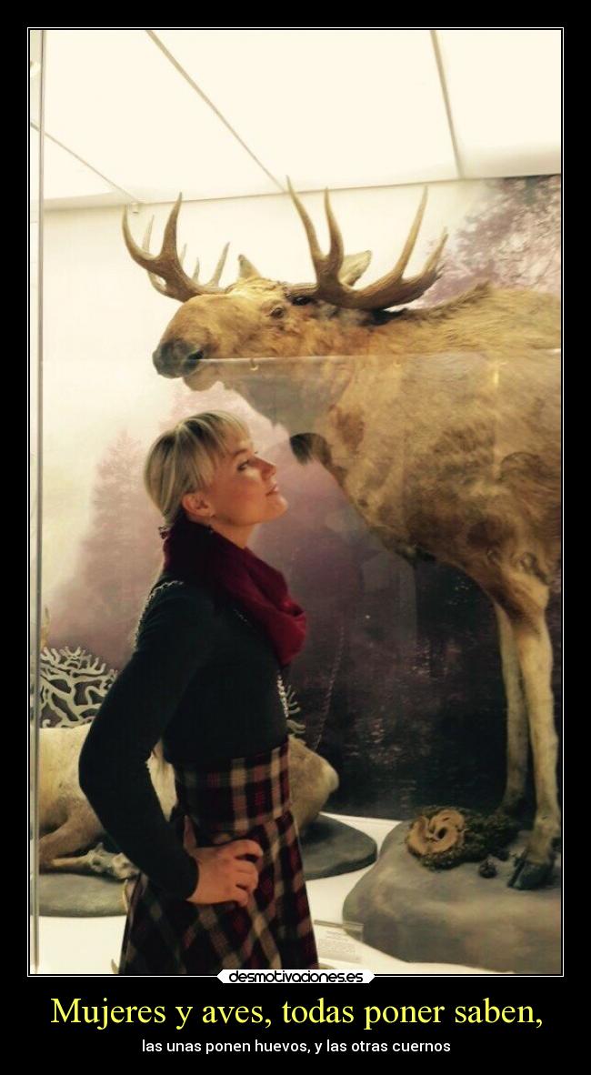 Mujeres y aves, todas poner saben, - las unas ponen huevos, y las otras cuernos