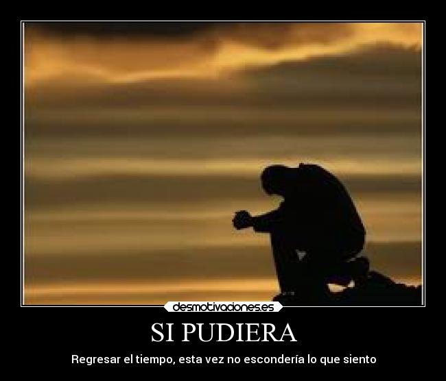 SI PUDIERA -