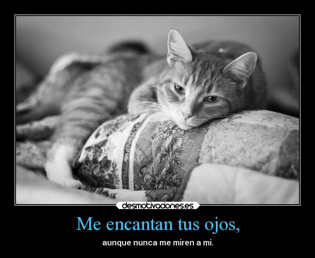 Me encantan tus ojos, - aunque nunca me miren a mi.