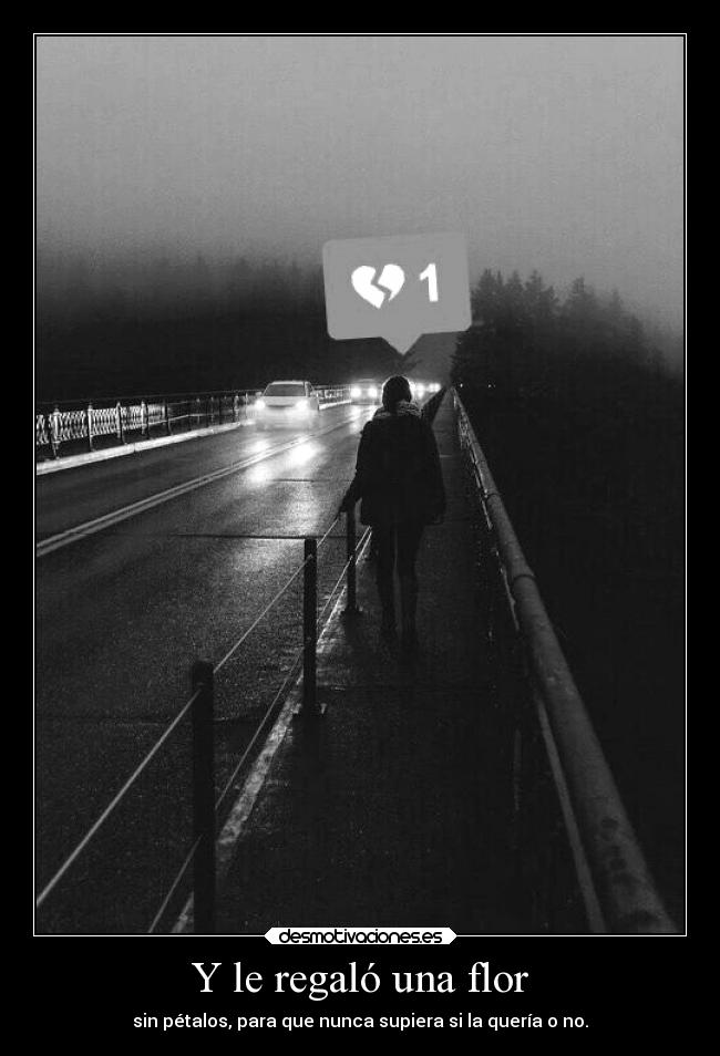 Y le regaló una flor - 