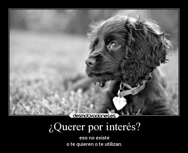 ¿Querer por interés? -