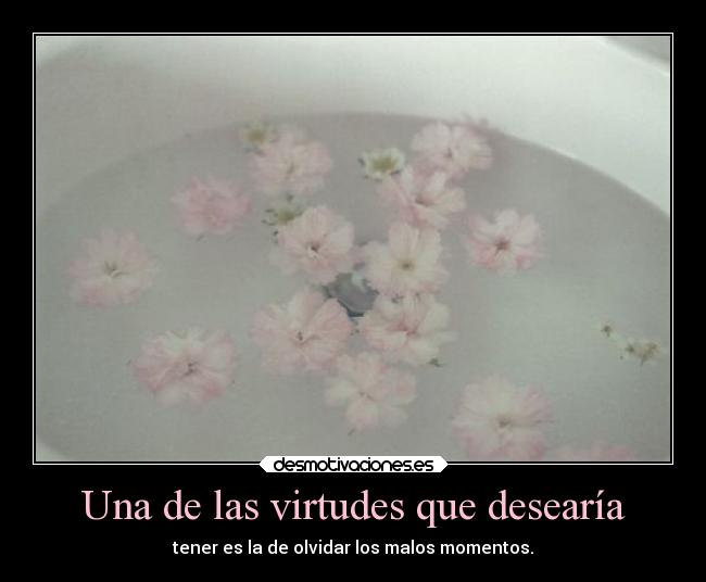 Una de las virtudes que desearía -