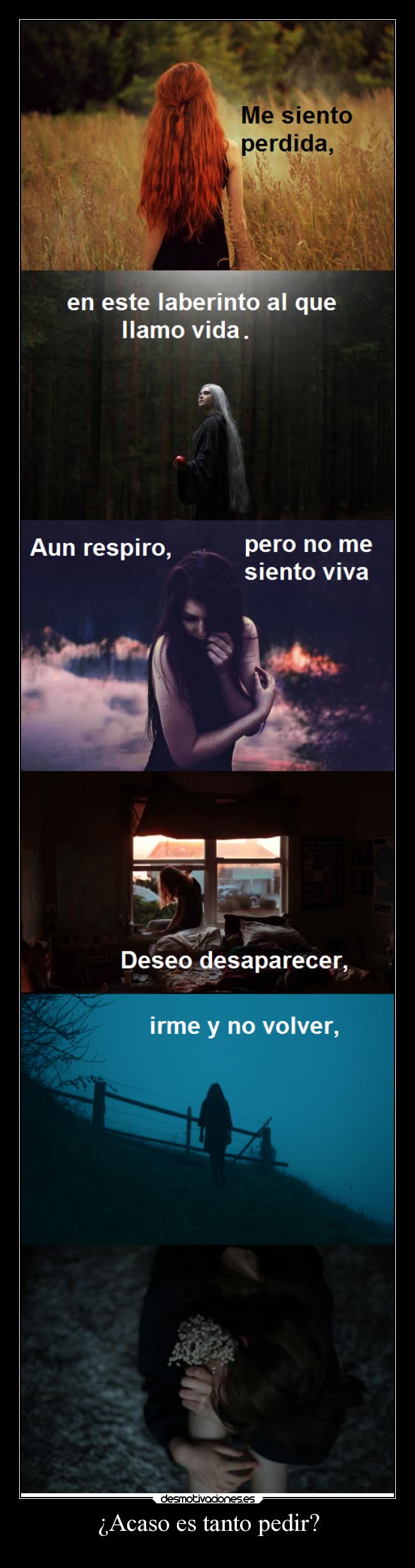 ¿Acaso es tanto pedir? -