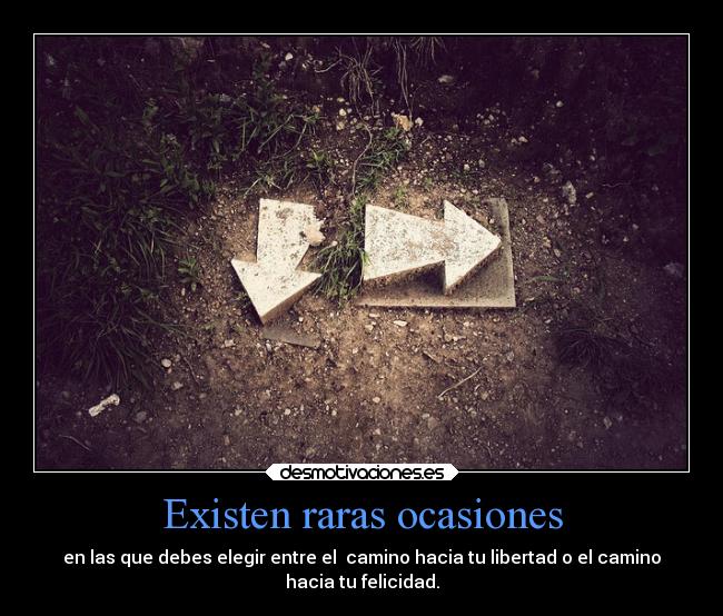 carteles vida alegria felicidad libertad suenos camino desmotivaciones