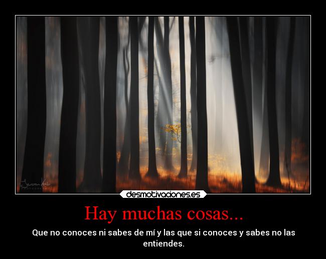 Hay muchas cosas... -