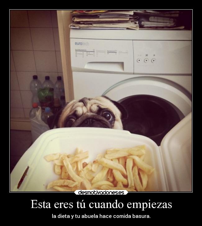 Esta eres tú cuando empiezas -