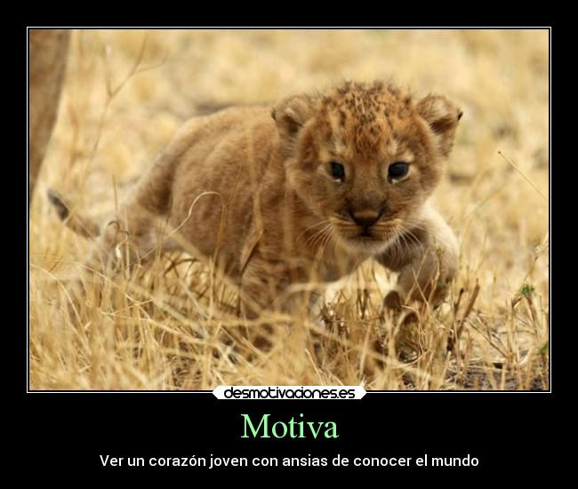 Motiva - Ver un corazón joven con ansias de conocer el mundo