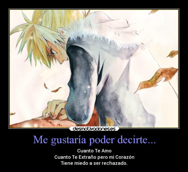 Me gustaría poder decirte... - 