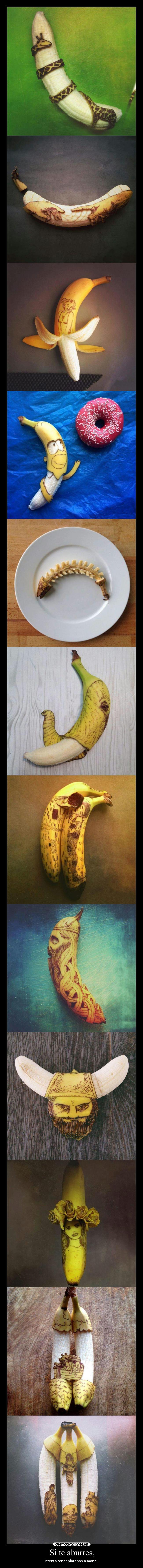Si te aburres, - intenta tener plátanos a mano...