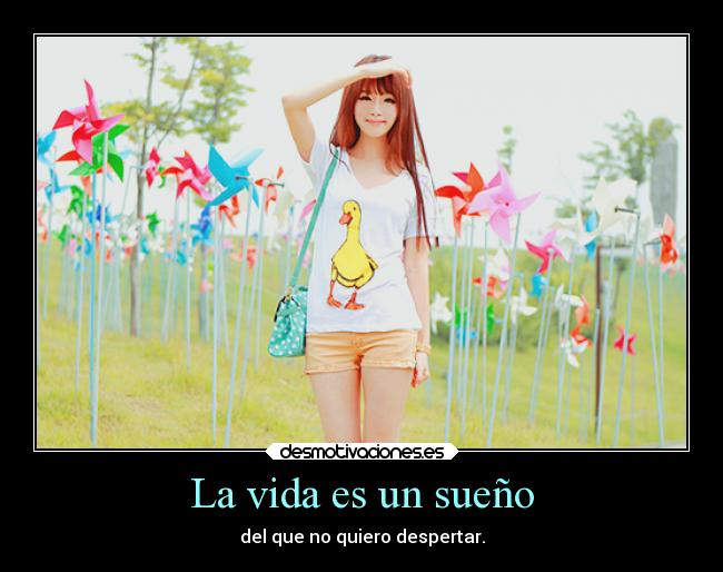 La vida es un sueño - 