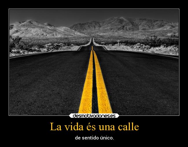 carteles vida vida calle sentido unico personas desmotivaciones