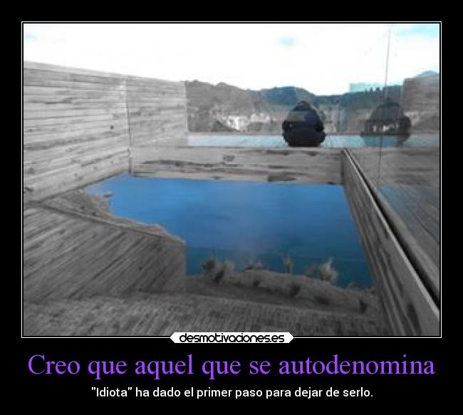 Creo que aquel que se autodenomina - Idiota ha dado el primer paso para dejar de serlo.