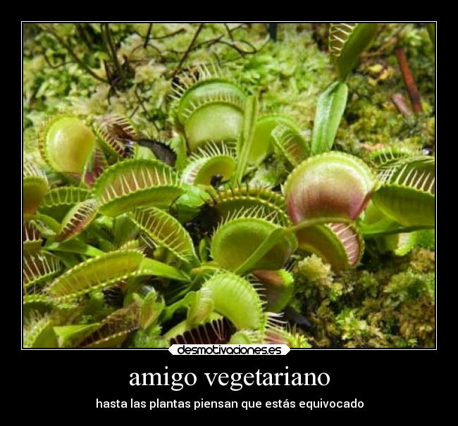 amigo vegetariano - hasta las plantas piensan que estás equivocado