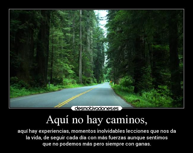 carteles vida confianza suenos desmotivaciones