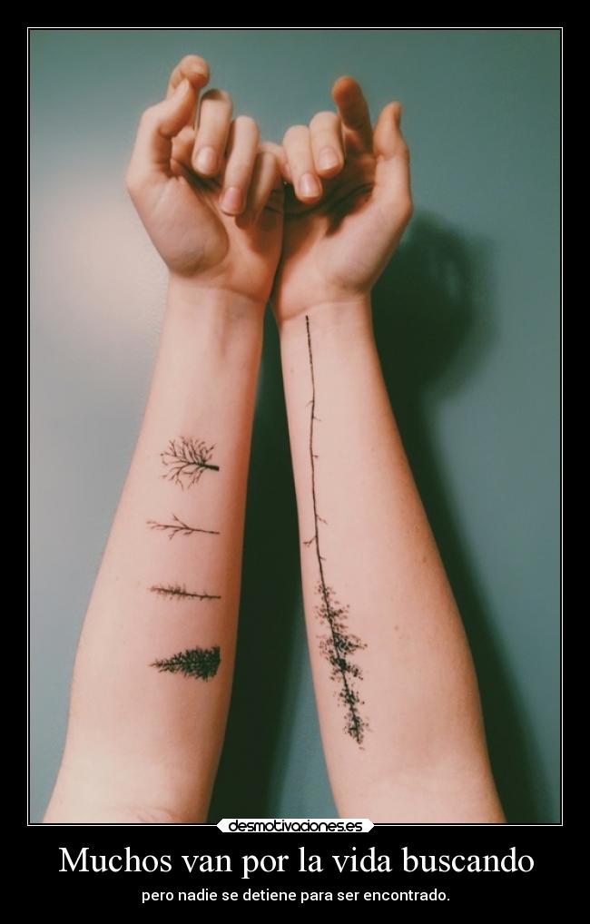 Muchos van por la vida buscando -