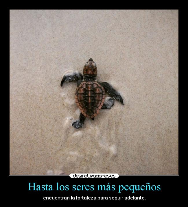 Hasta los seres más pequeños - 
