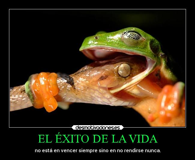 EL ÉXITO DE LA VIDA - no está en vencer siempre sino en no rendirse nunca.