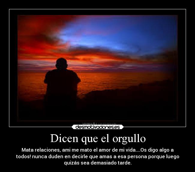 Dicen que el orgullo -