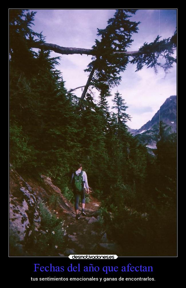 carteles vida geas rdm desmotivaciones