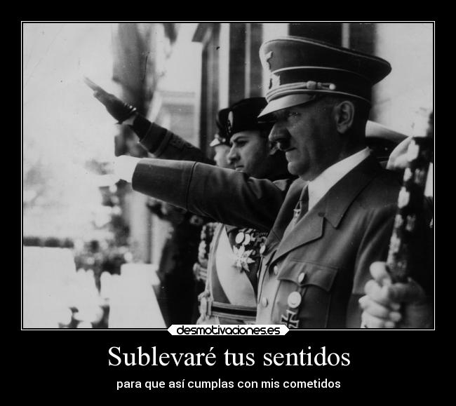 Sublevaré tus sentidos - 