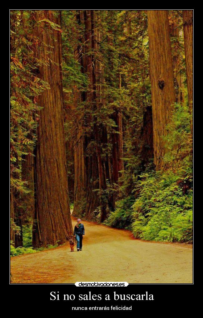 carteles vida motivaciones felicidad frases desmotivaciones