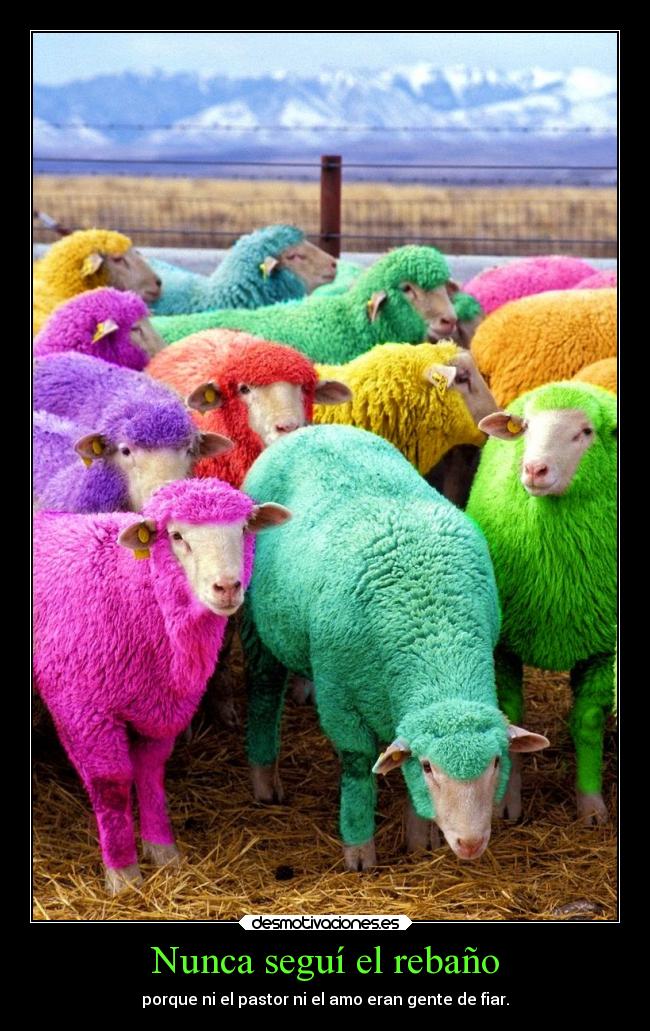 carteles vida rebano pastor amo nunca marea comoelvientodeponiente desmoc3 desmotivaciones