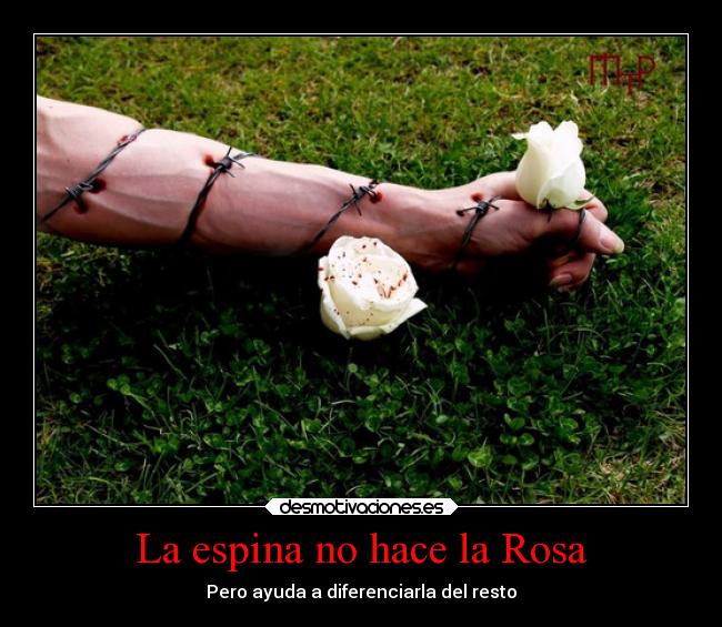 La espina no hace la Rosa -