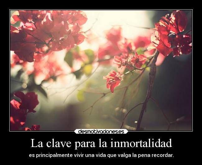 carteles vida sentimientos recuerdos frases suenos inmortalidad clave desmotivaciones