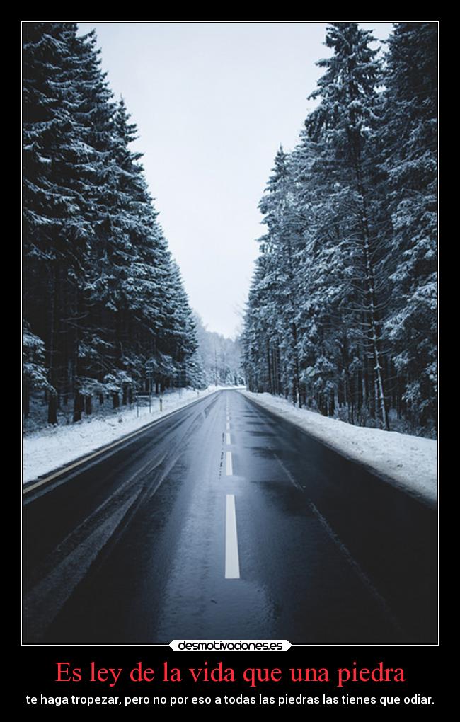 Es ley de la vida que una piedra - te haga tropezar, pero no por eso a todas las piedras las tienes que odiar.