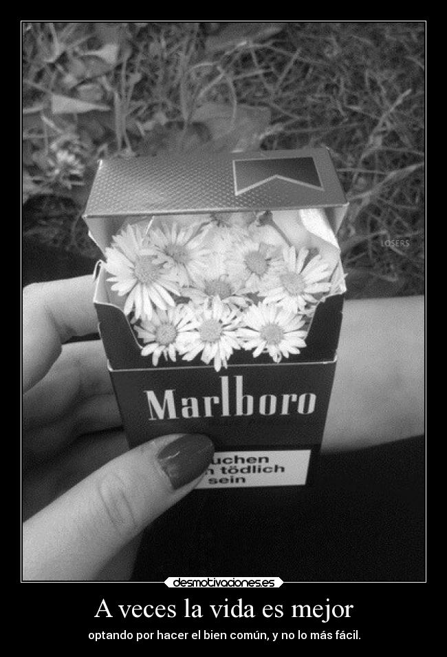 A veces la vida es mejor -