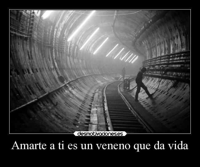 Amarte a ti es un veneno que da vida -