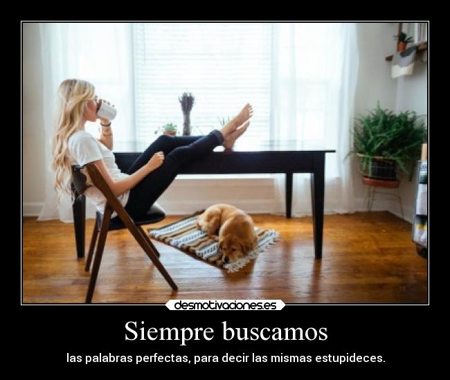 Siempre buscamos - las palabras perfectas, para decir las mismas estupideces.