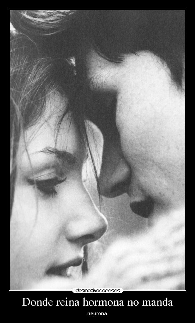 carteles vida tonto sociedad naturaleza motivaciones locura deseos amor alma delolvido desmotivaciones