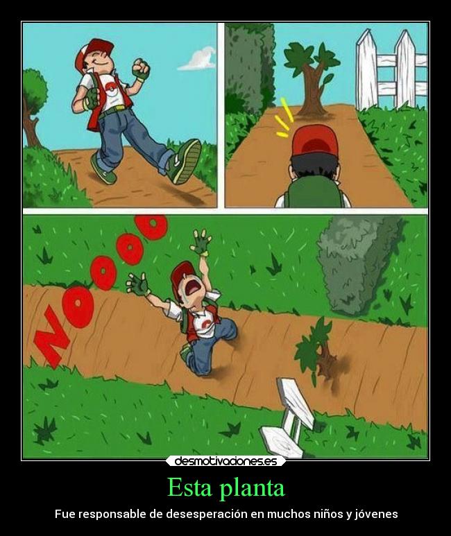 Esta planta - Fue responsable de desesperación en muchos niños y jóvenes