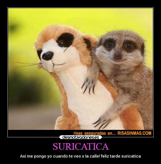 carteles abrazos desmotivaciones