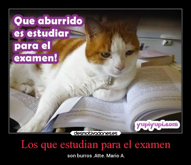 Los que estudian para el examen -
