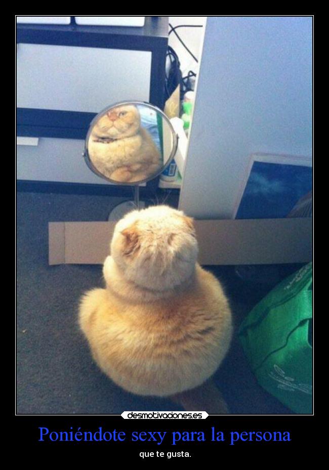 carteles alegria novios sexyyy provocativo gato orgia poheso desmotivaciones