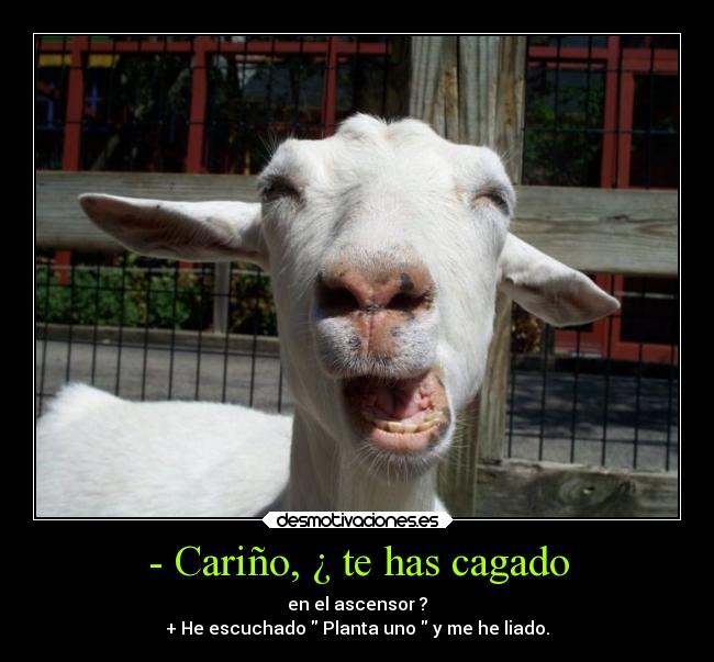 - Cariño, ¿ te has cagado -