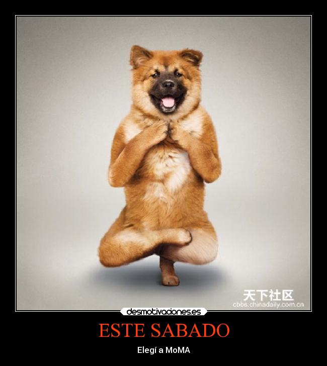 ESTE SABADO - Elegí a MoMA